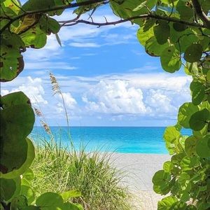 Meet your Posher, Sherry